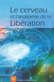 Le cerveau et l'anatomie de la Libération